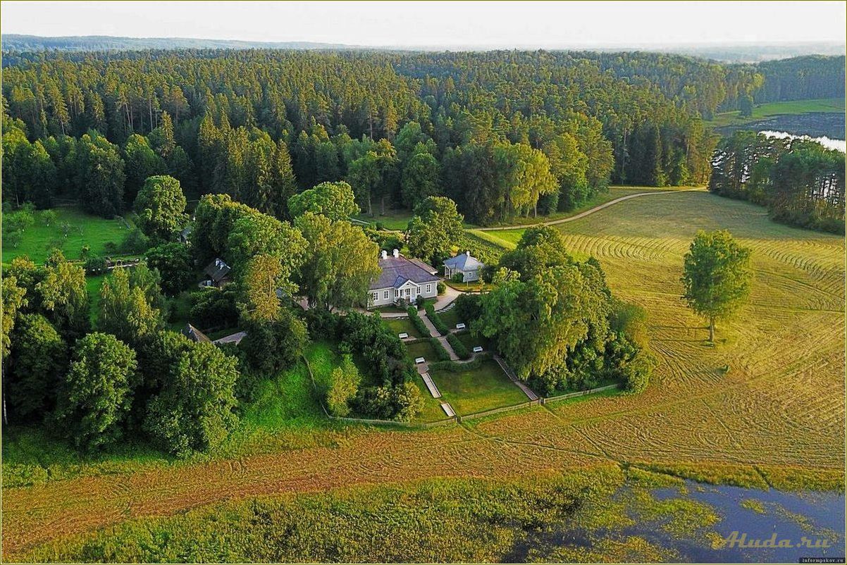 Отдых в Михайловском Псковской области — идеальное место для релакса и наслаждения природой