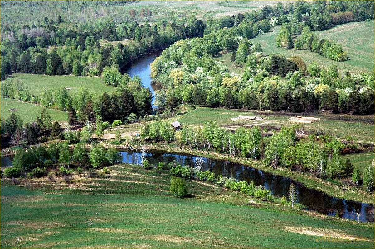 Лучшие варианты отдыха в Омске и Омской области для детей — от развлечений до образовательных программ