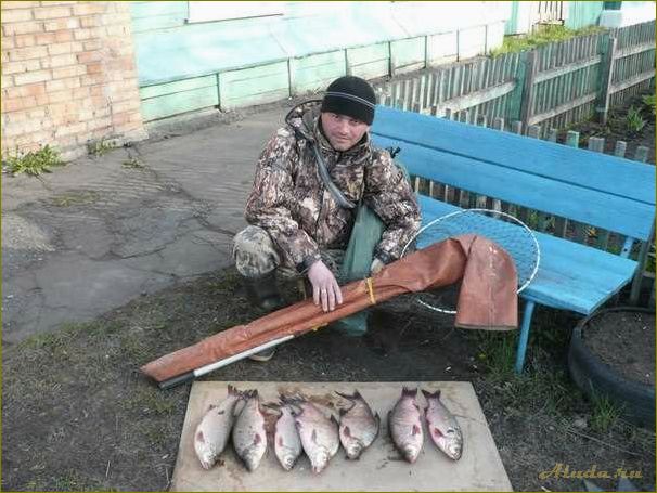 Отдых в Омске и Омской области — лучшие места для рыбалки и расслабления