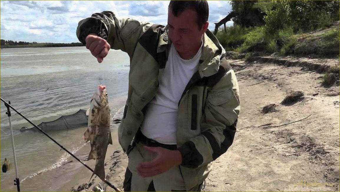 Отдых в Омске и Омской области — лучшие места для рыбалки и расслабления