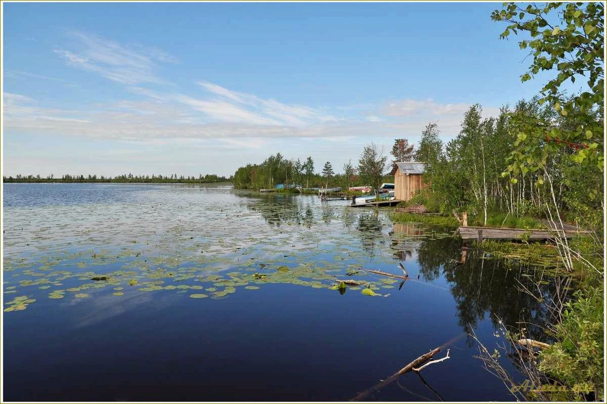 (отдых, омской, области, озере, реке) Отдых в омской области на озере реке — гармония с природой и удовольствие от активного отдыха