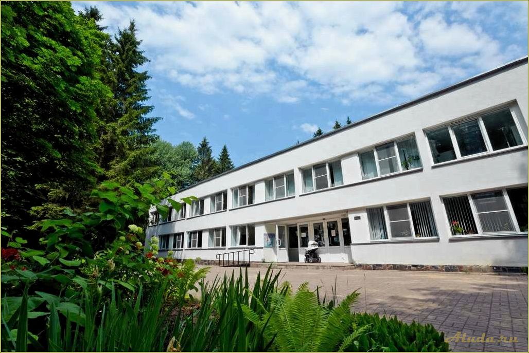 (отдых, пансионате, смоленской, области) Отдых в пансионате Смоленской области