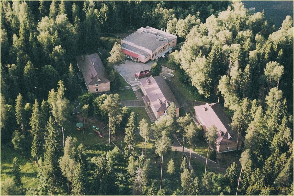 (отдых, пансионате, смоленской, области) Отдых в пансионате Смоленской области