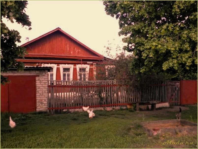 Отдых в Сасове Рязанской области — лучшие места для активного и спокойного отдыха