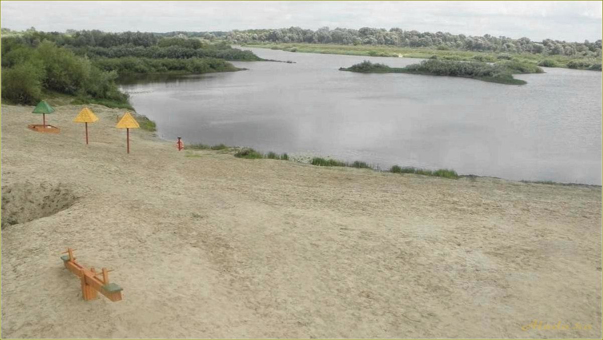 Отдых в Сасове Рязанской области — лучшие места для активного и спокойного отдыха