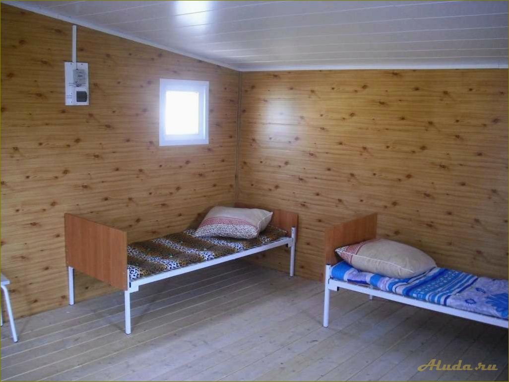 Отдых в шарапе Новосибирской области — наслаждайтесь природой в уютном кемпинге