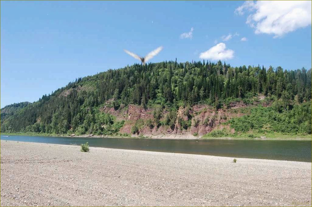 Отдых в Зеленогорске — курортный город в Кемеровской области, где вас ждут уникальные природные красоты и разнообразные развлечения