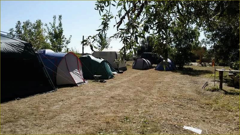 Отдых на рыбалке в Астраханской области — необычные приключения среди дикой природы и увлекательные рыболовные трофеи