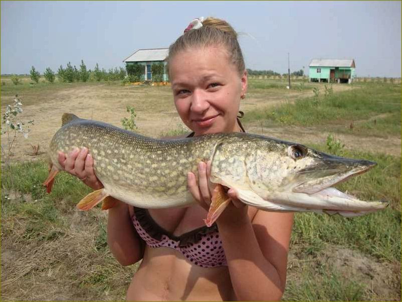 Отдых на рыбалке в Астраханской области — необычные приключения среди дикой природы и увлекательные рыболовные трофеи