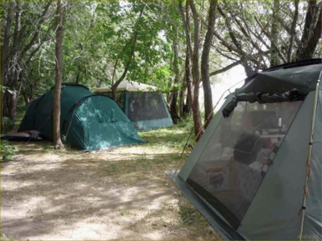 Отдых с палатками на Волге — прекрасные возможности для активного отдыха в Волгоградской области