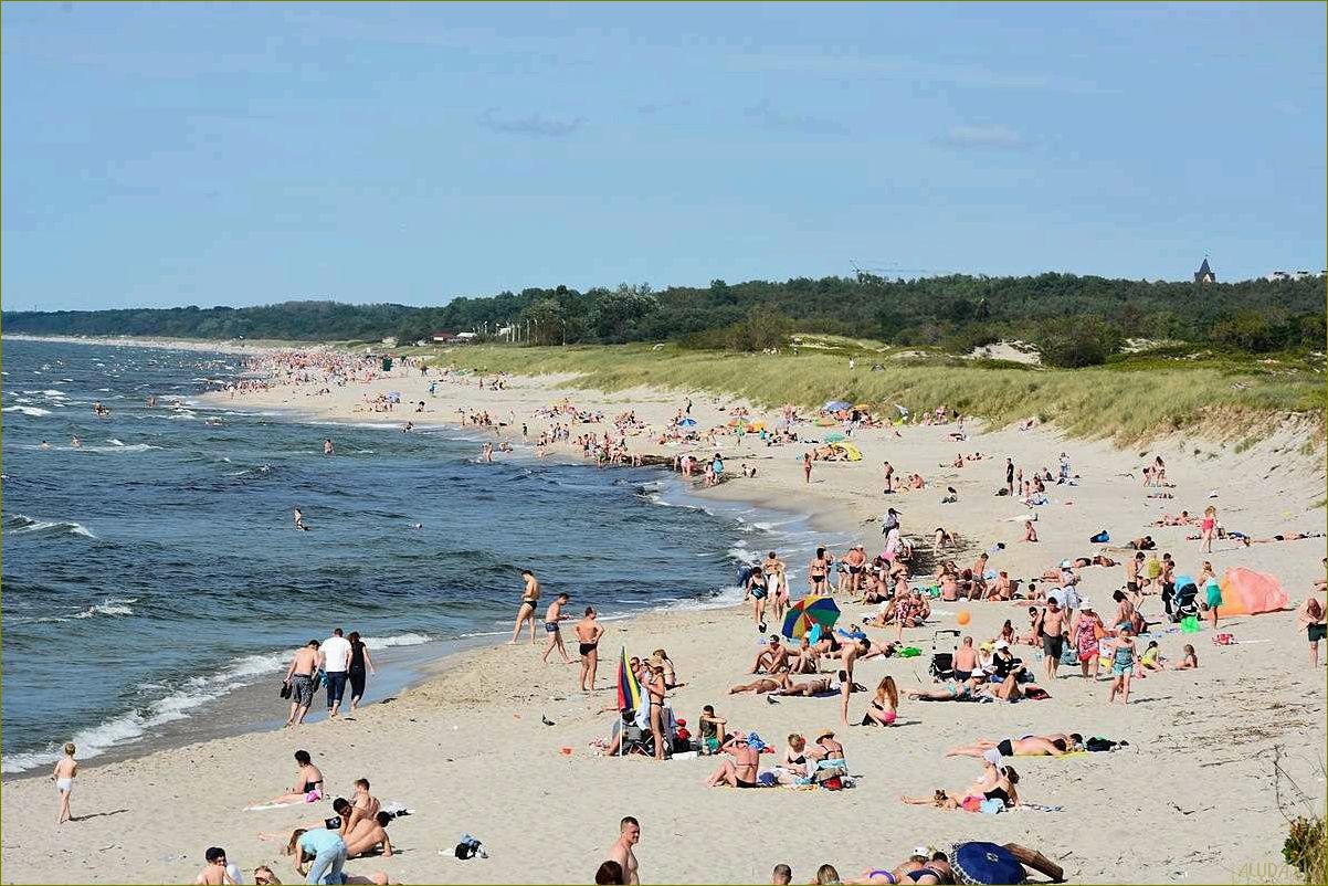 (отдых, калининградской, области, идеальный, город) Отдых в Калининградской области — идеальный город Балтийск для незабываемых приключений и релаксации