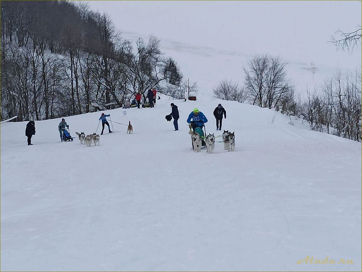Отдых в коттеджах на Волге в Ярославской области