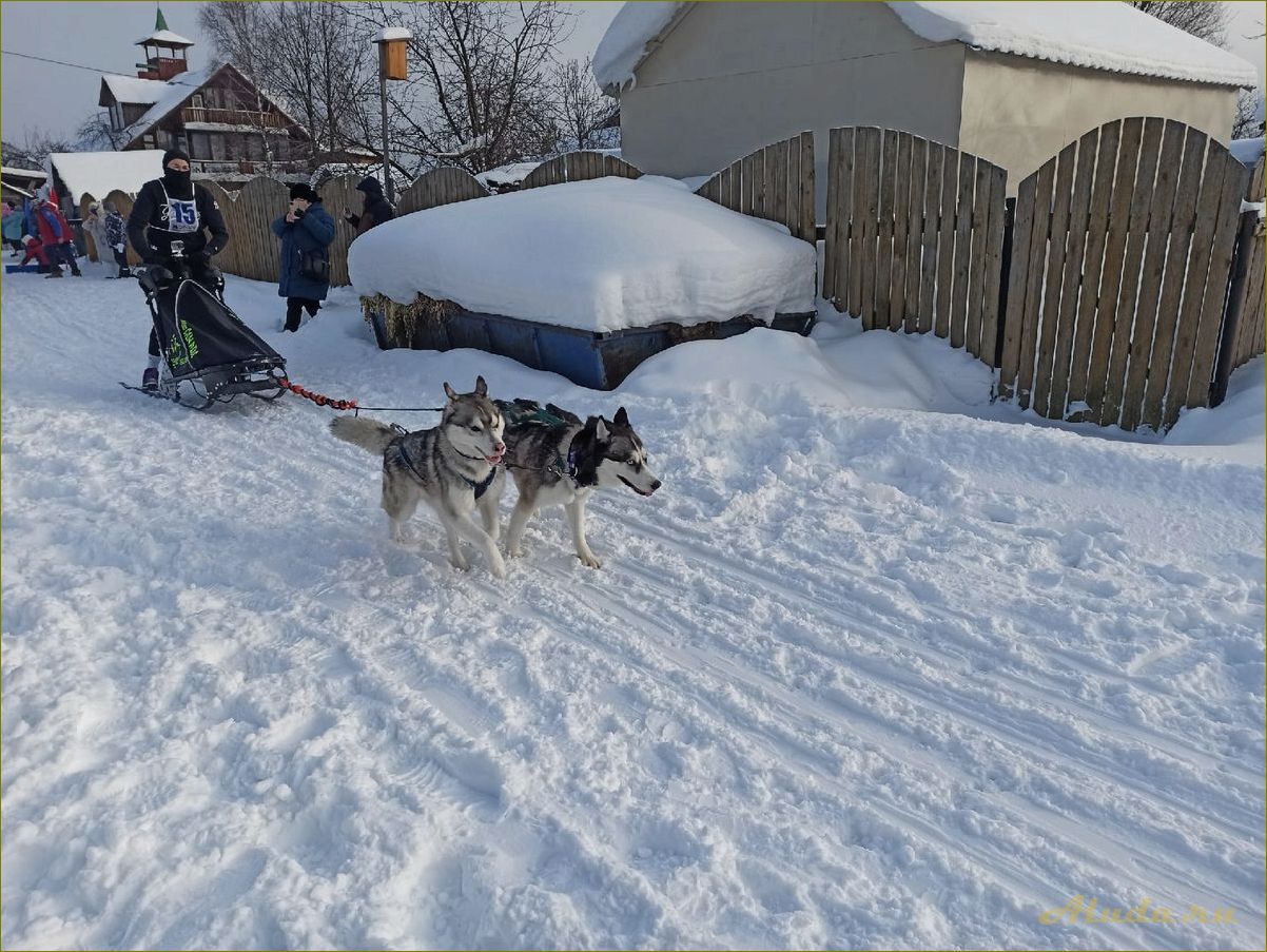 Отдых в коттеджах на Волге в Ярославской области