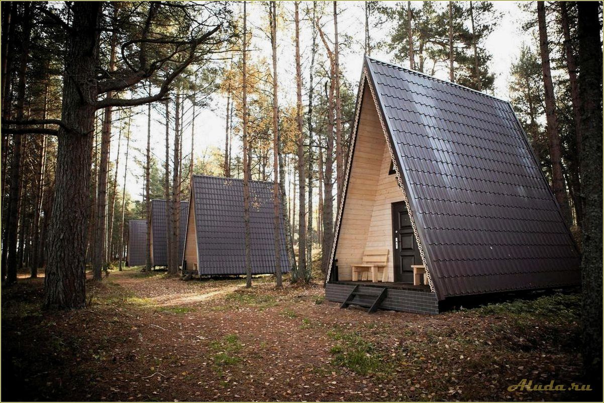 (отдых, лесу, домиках, ярославской, области) Отдых в лесу в домиках Ярославской области
