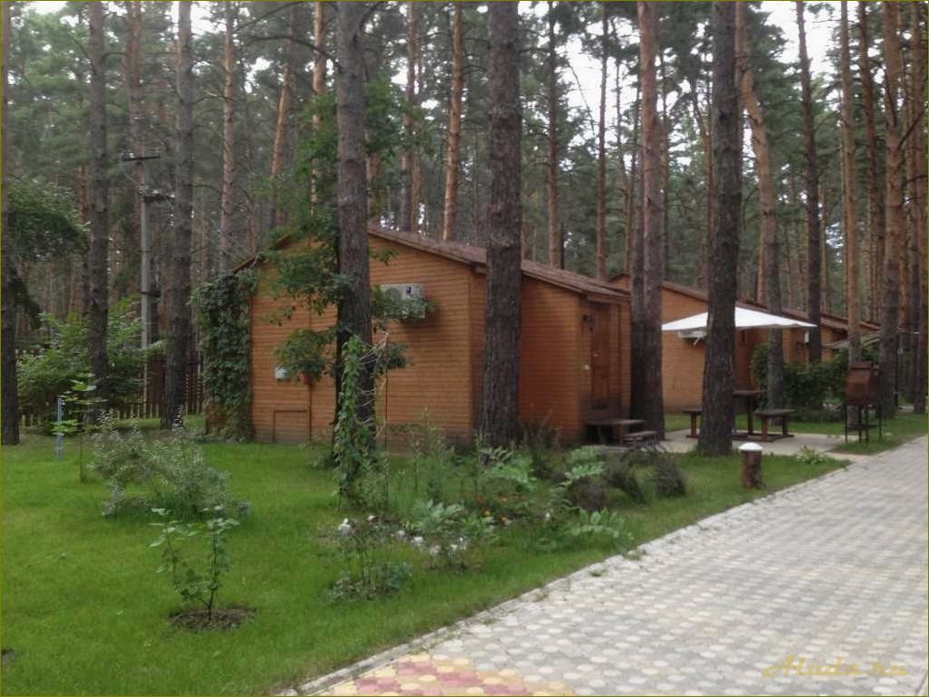 Отдых в Новгородской области — база отдыха 