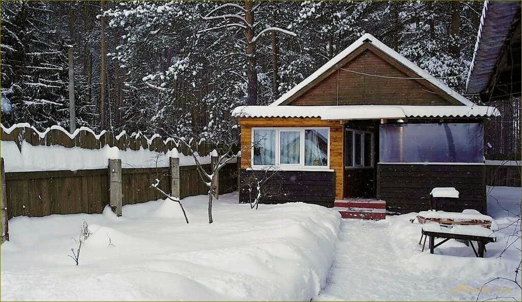 Отдых в Новгородской области — база отдыха 