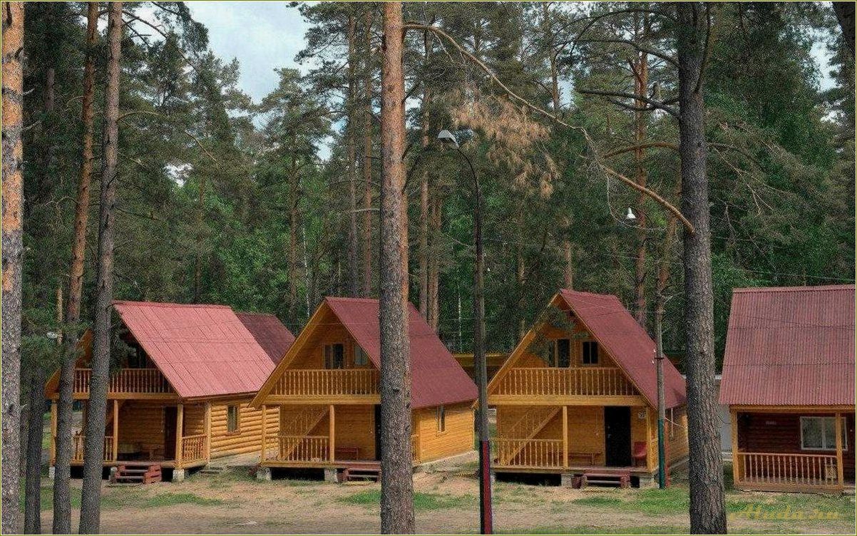 Отдых в Псковской области — база отдыха 