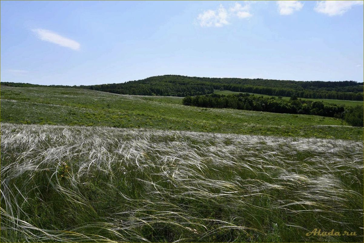 (отдых, саракташском, районе, оренбургской, области) Отдых в саракташском районе оренбургской области — прекрасная природа, уникальные достопримечательности и множество возможностей для активного отдыха