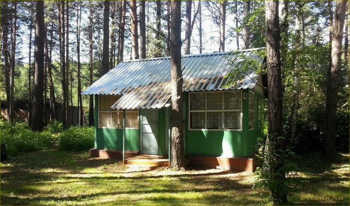 Отдых в шарапе Новосибирской области — наслаждайтесь природой в уютном кемпинге