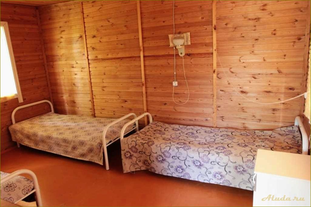 Отдых в шарапе Новосибирской области — наслаждайтесь природой в уютном кемпинге