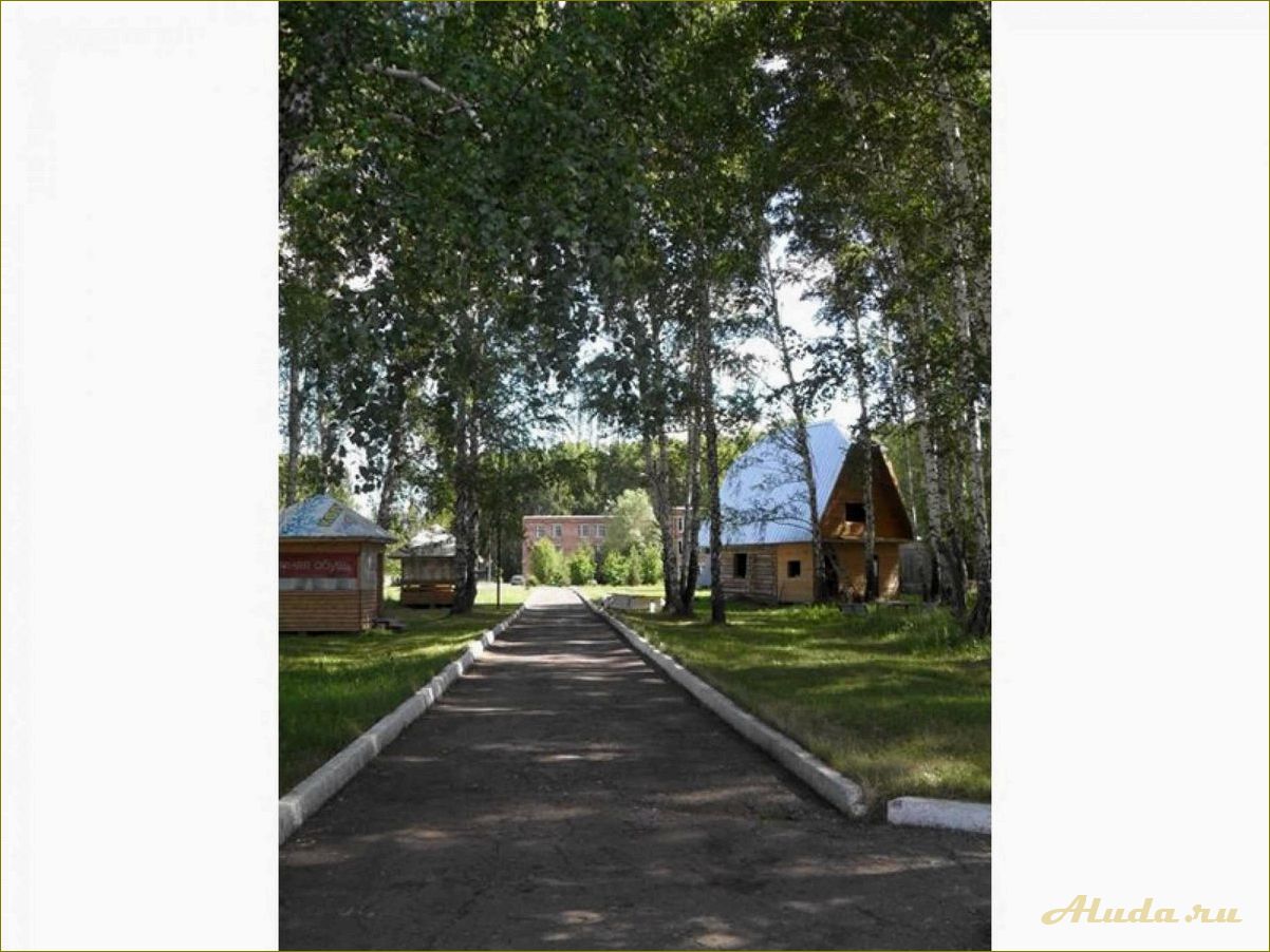 Отдых в шарапе Новосибирской области — наслаждайтесь природой в уютном кемпинге