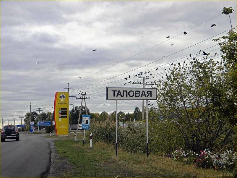 (отдых, таловском, районе, воронежской, области) Отдых в Таловском районе Воронежской области — идеальное место для релакса и наслаждения природой