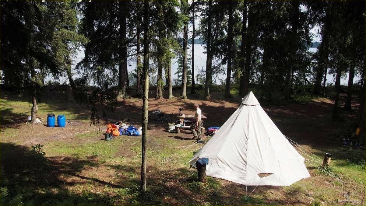 Озера Новгородской области — идеальное место для отдыха с палатками — тихая природа, чистые воды и уютные пляжи
