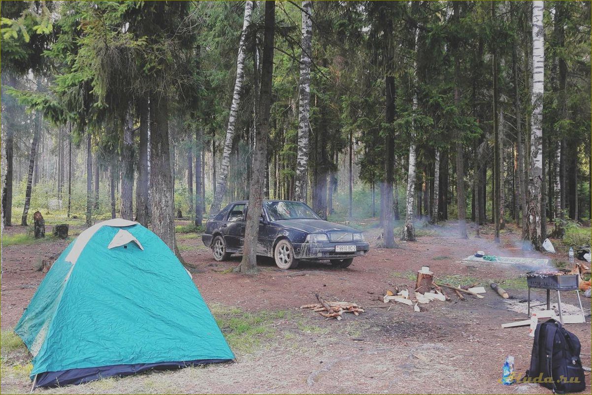 Озера Новгородской области — идеальное место для отдыха с палатками — тихая природа, чистые воды и уютные пляжи