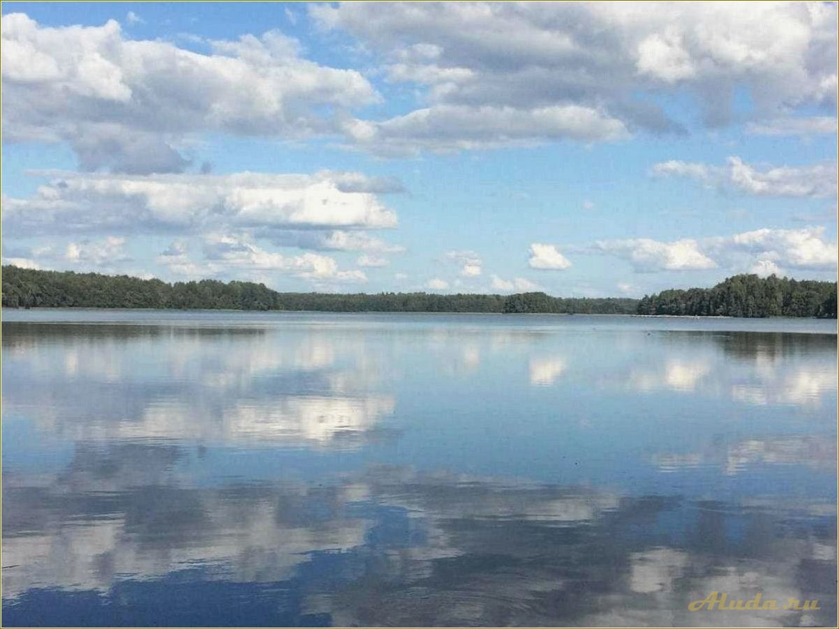 Озера смоленской области для отдыха с детьми