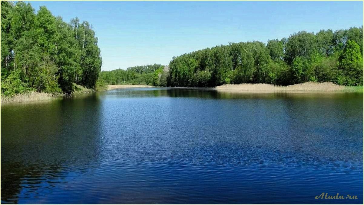 Озера смоленской области для отдыха с детьми