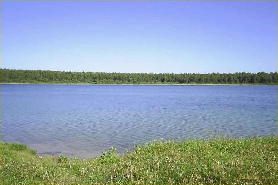 Озеро Данилово — идеальное место для отдыха в Новосибирской области, Кыштовском районе