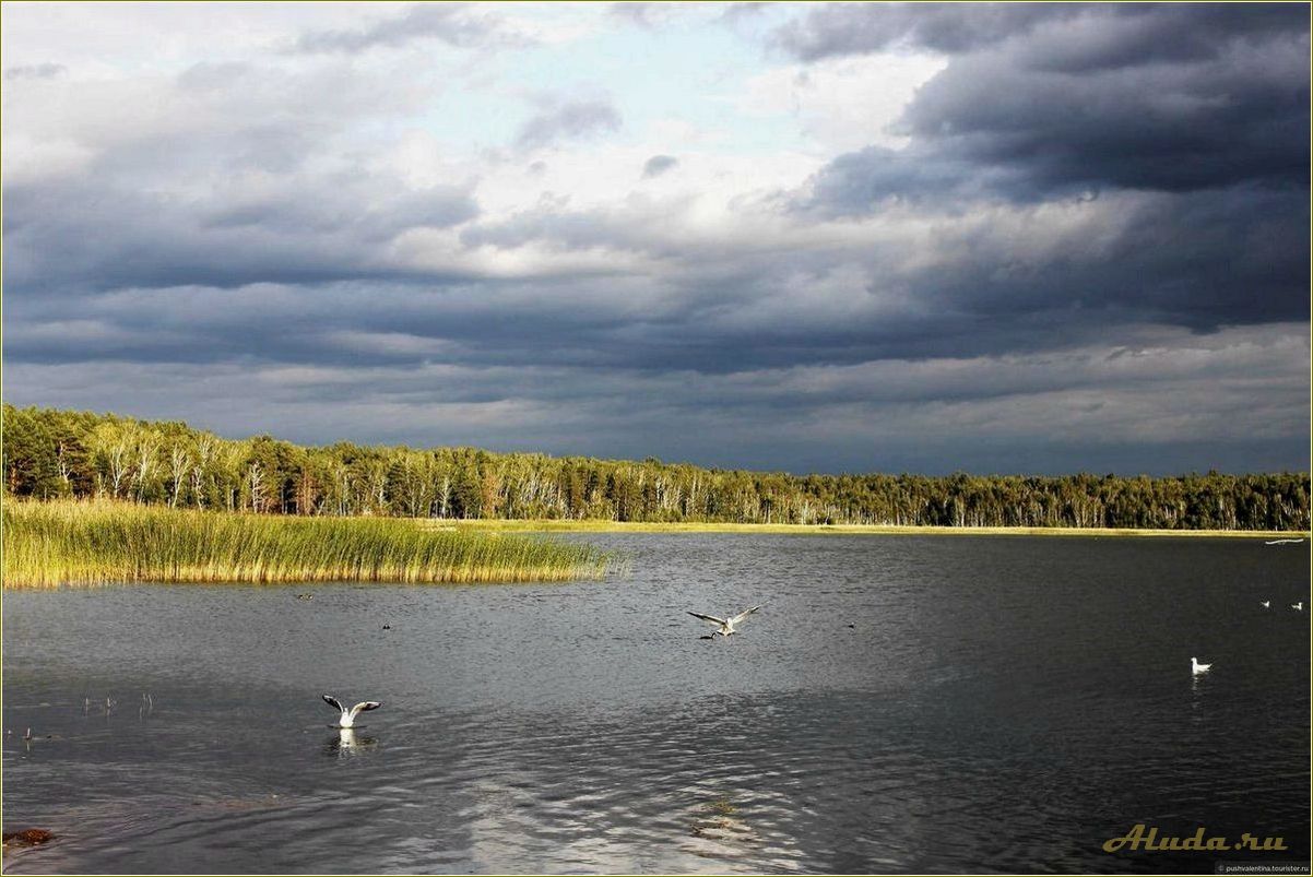 Озеро Подборное: отдых в Челябинской области