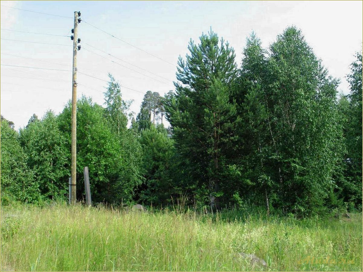 Приозерный свердловская область базы отдыха