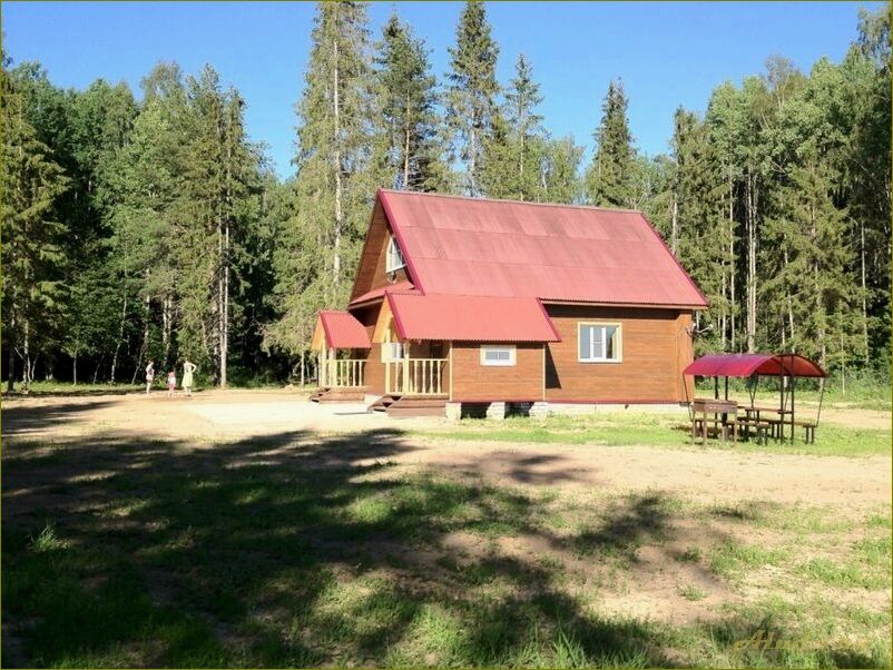 Прозорово: ярославская область. База отдыха в заповедном краю