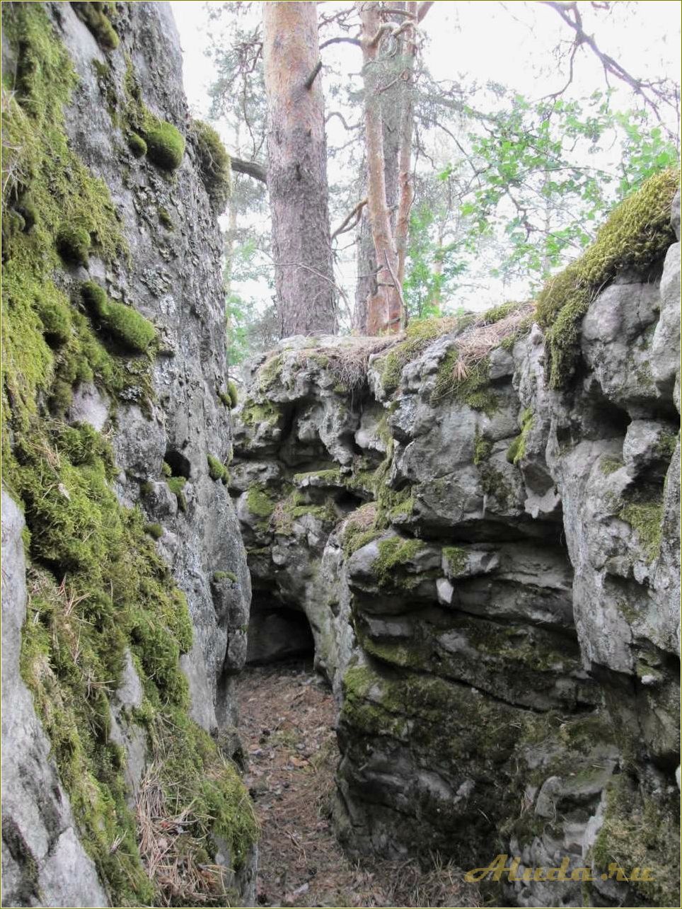 Рачейка самарская область достопримечательности