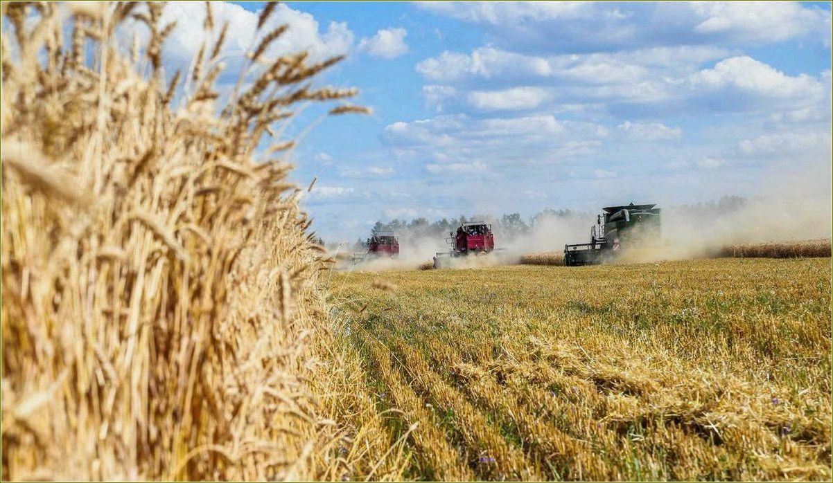Развитие сельского туризма в Самарской области: новые возможности для развития экономики и привлечения гостей.