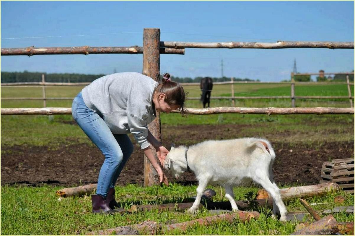 Развитие сельского туризма в Самарской области: новые возможности для развития экономики и привлечения гостей.