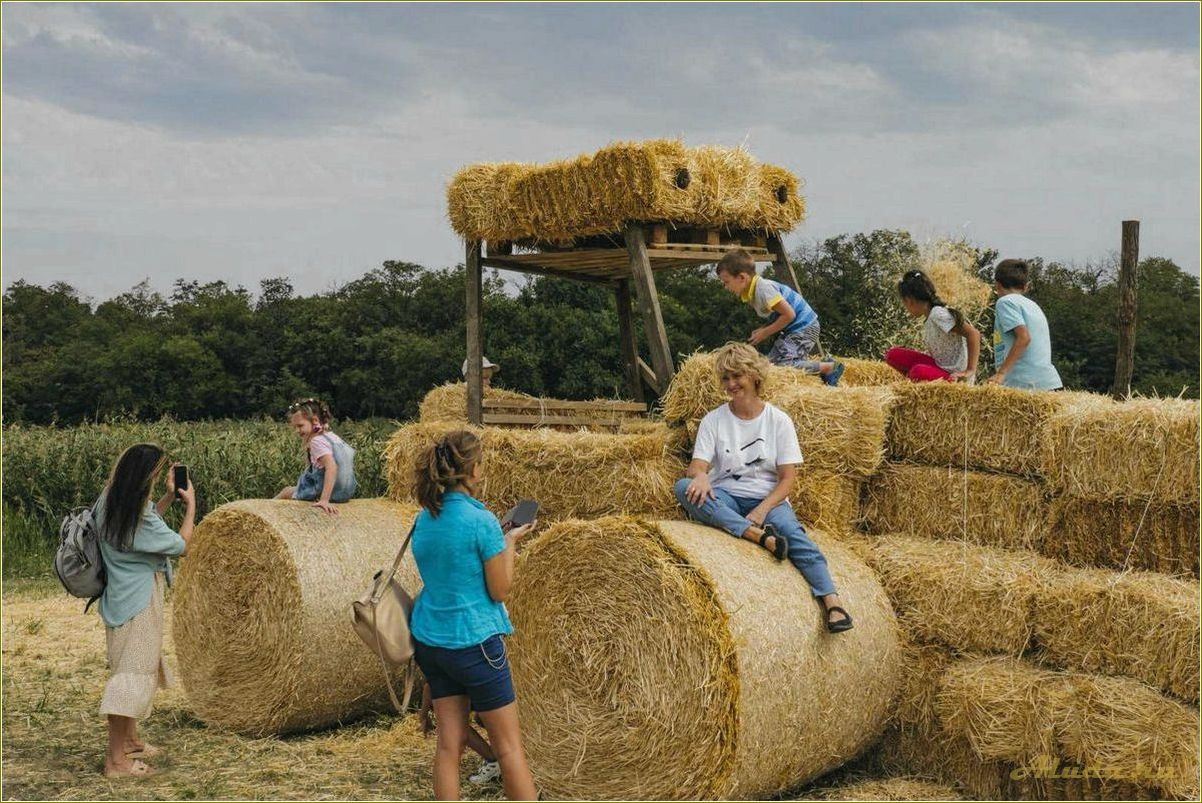 Развитие сельского туризма в Самарской области: новые возможности для развития экономики и привлечения гостей.