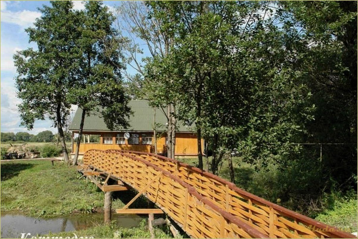 (рязанские, базы, отдыха, предлагаемые, майором) Рязанские базы отдыха, предлагаемые майором Прониным, в Рязанской области