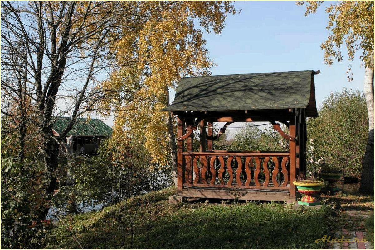 (рязанские, базы, отдыха, предлагаемые, майором) Рязанские базы отдыха, предлагаемые майором Прониным, в Рязанской области