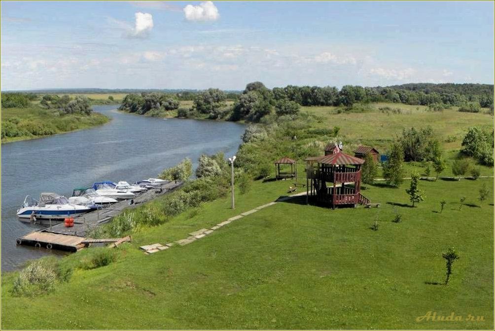 (рязанские, базы, отдыха, предлагаемые, майором) Рязанские базы отдыха, предлагаемые майором Прониным, в Рязанской области