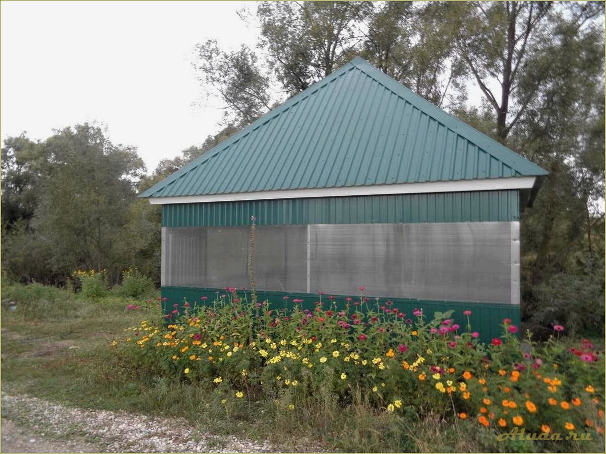 С константиновка пензенской области база отдыха