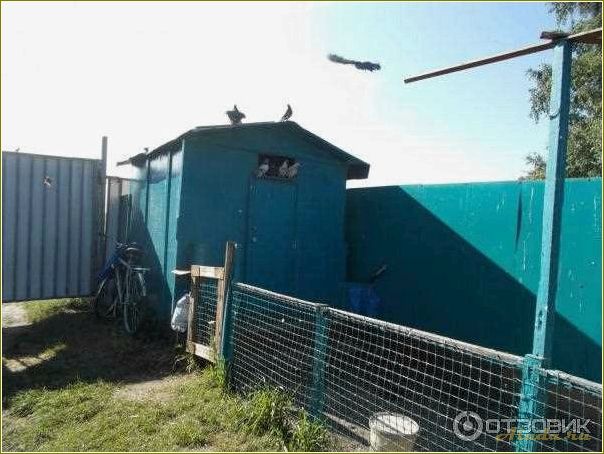 База отдыха 