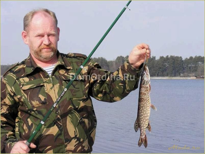 База отдыха 