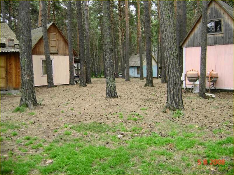 Шарап — новосибирская область, база отдыха, НГТУ, Шарап