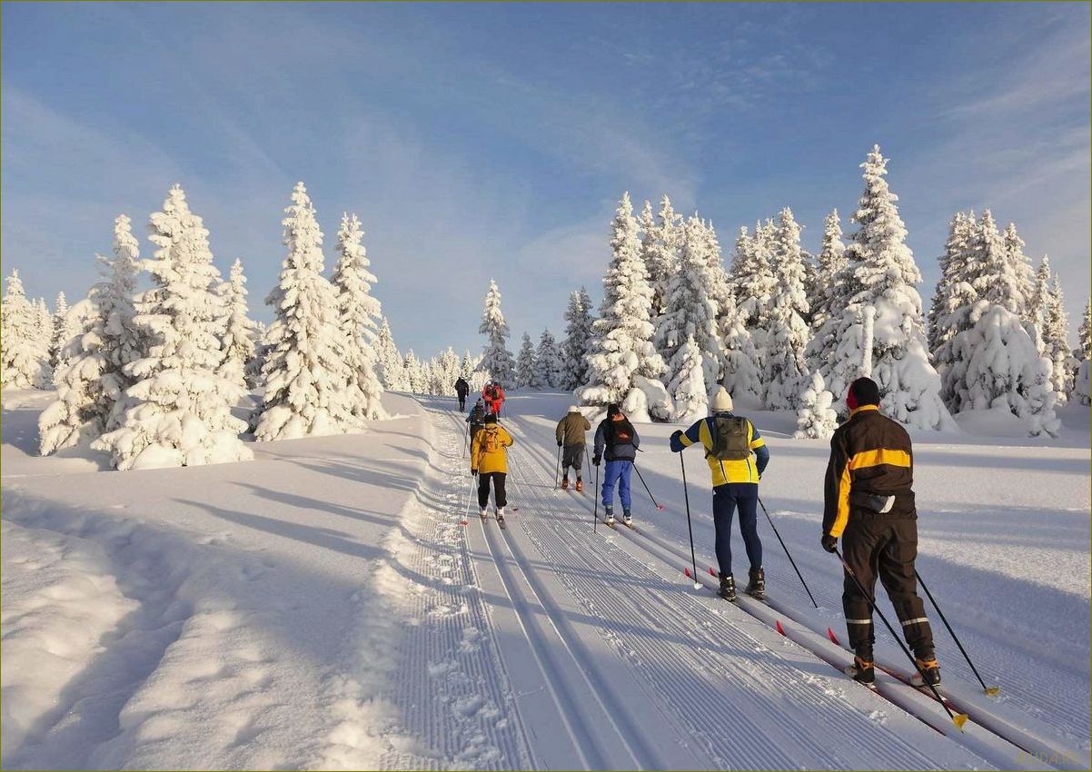 Спорт и туризм в Архангельской области — возможности активного отдыха в живописных уголках Севера