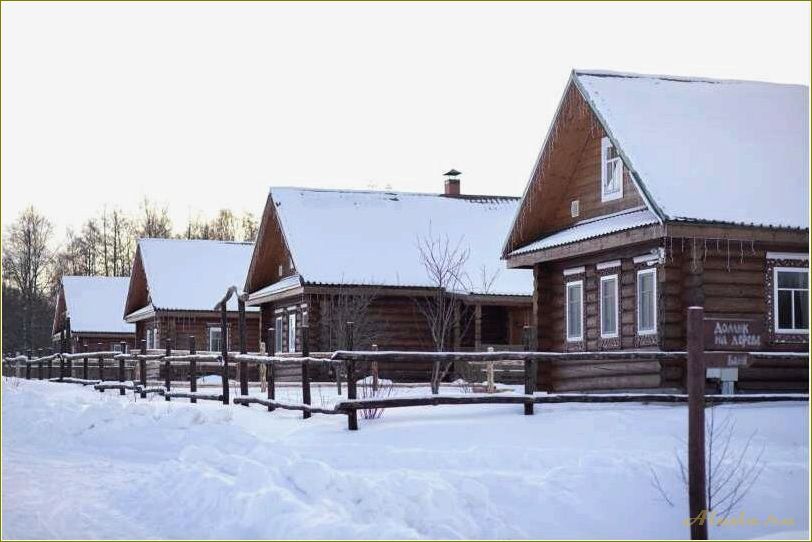 Старый сиг Тверская область: база отдыха на экоферме