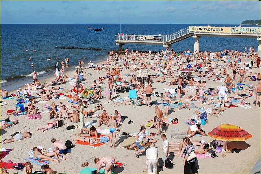 Светлогорск Калининградская область — идеальное место для летнего отдыха с песчаными пляжами, прекрасной природой и богатым культурным наследием