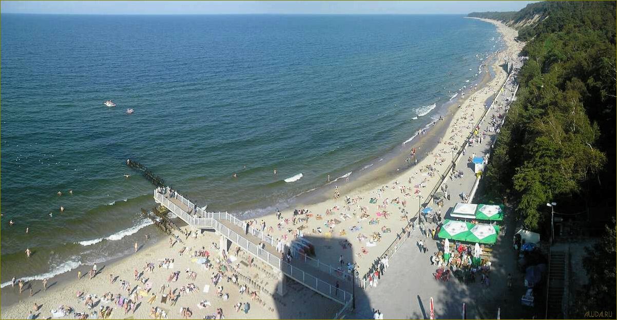 Светлогорск Калининградская область — идеальное место для летнего отдыха с песчаными пляжами, прекрасной природой и богатым культурным наследием