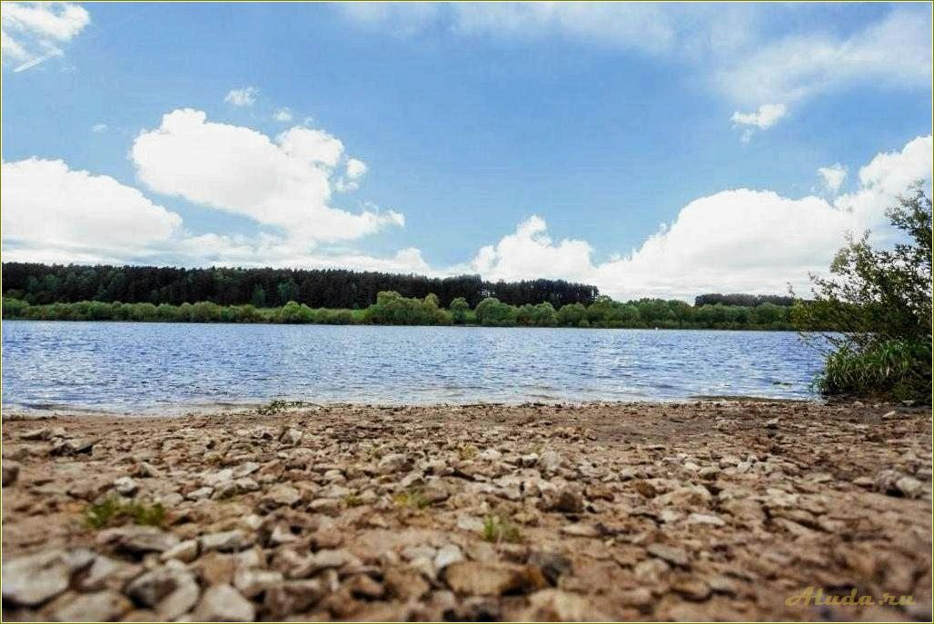 Тульская область: база отдыха 